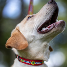 Load image into Gallery viewer, Flag Pet Collar