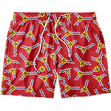 Load image into Gallery viewer, Flag Men's Swim Trunks