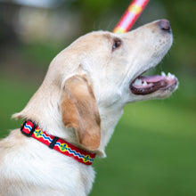 Load image into Gallery viewer, Flag Pet Collar