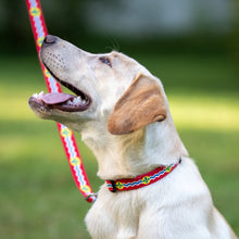 Load image into Gallery viewer, Flag Pet Collar
